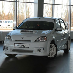 Сетки в бамперы "Power DM" для Renault Logan