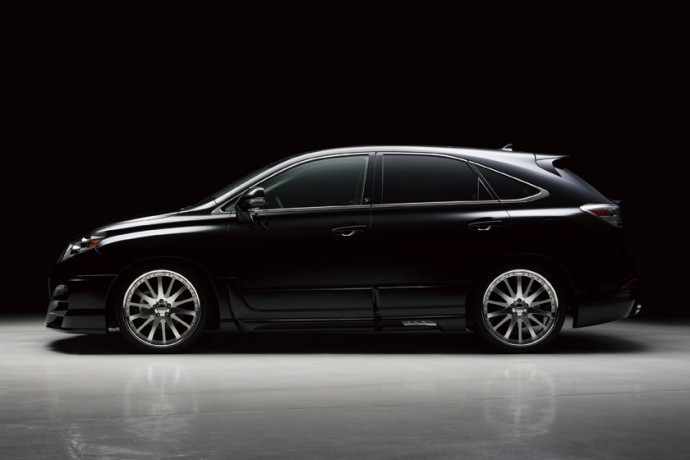 Накладки на двери "Wald Black Bison" для Lexus RX 350, RX 450 (AL10, 2009-2012) купить недорого с доставкой в Тобольск