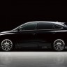 Накладки на двери "Wald Black Bison" для Lexus RX 350, RX 450 (AL10, 2009-2012) купить недорого с доставкой в Тобольск