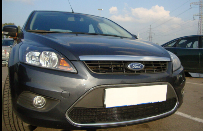 Защита радиатора "Standart" Ford Focus II рестайлинг (2007-2011) чёрная купить недорого с доставкой в Тобольск