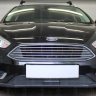 Защита радиатора "Standart" Ford Focus III рестайлинг (2014-2019) под датчик ACS+ASLD, чёрная купить недорого с доставкой в Тобольск