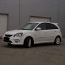 Накладки на пороги для KIA Rio JB (2006-2011) купить недорого с доставкой в Тобольск